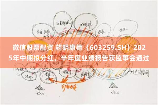 微信股票配资 药明康德（603259.SH）2025年中期拟分红，半年度业绩报告获监事会通过
