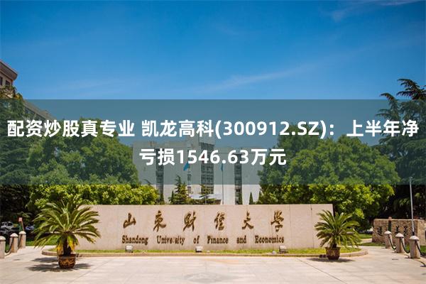 配资炒股真专业 凯龙高科(300912.SZ)：上半年净亏损1546.63万元