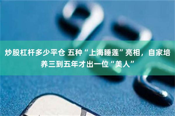 炒股杠杆多少平仓 五种“上海睡莲”亮相，自家培养三到五年才出一位“美人”