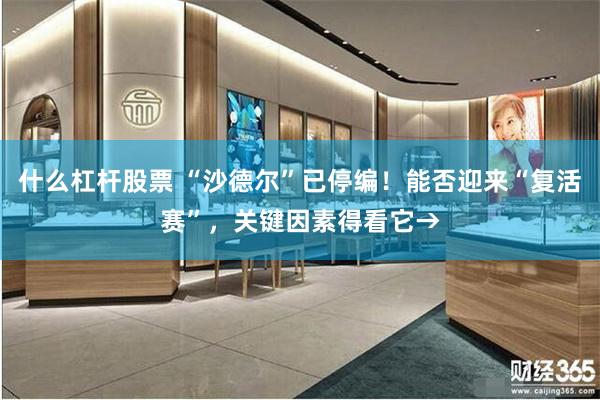 什么杠杆股票 “沙德尔”已停编！能否迎来“复活赛”，关键因素得看它→